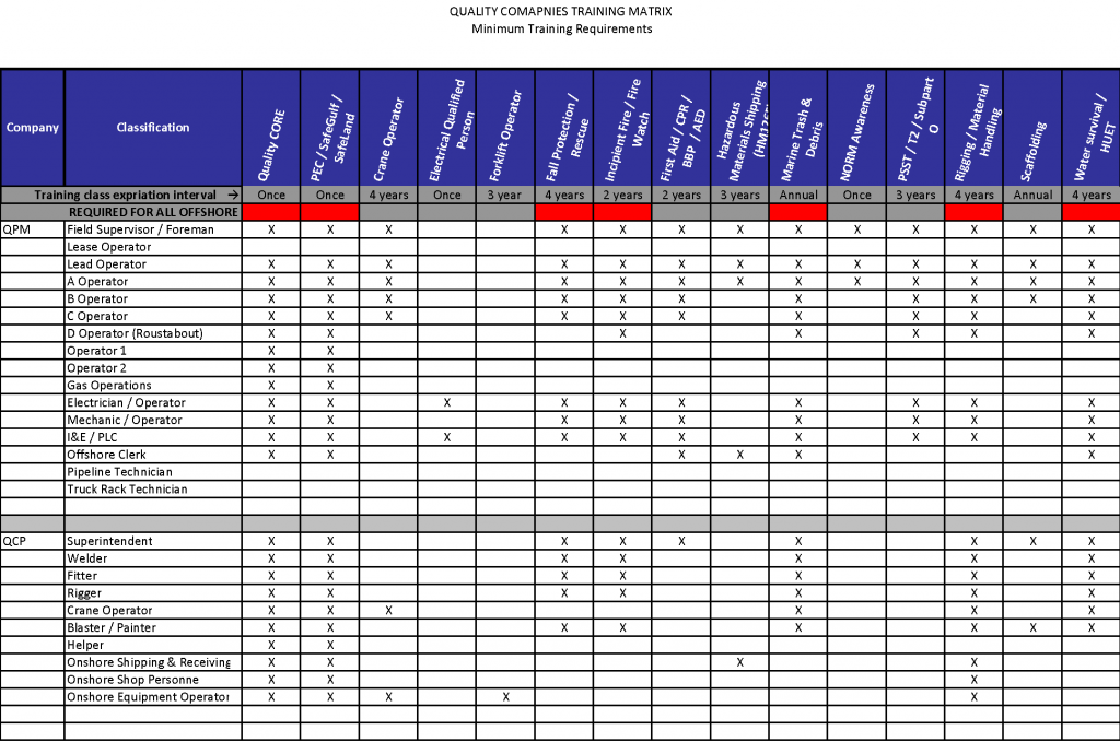 8 Amazing Employee Training Matrix Template Excel and How To Use 